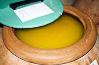 Olive Oil: Tuscan Liquid Gold